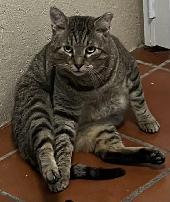 Tucker